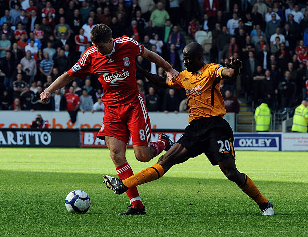 植物纤维网 植物纤维网